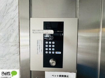 ̑@I[gbN