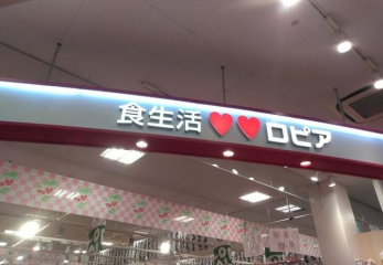 ӊ@sAہ[TOKYO|BAYX k24B 1880m