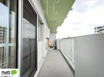 oRj[@zc₽̐󕨂郏ChoRj[