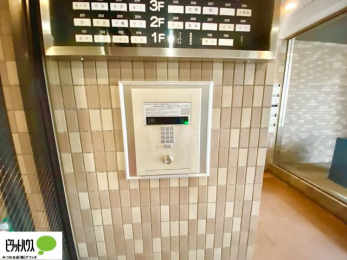 ���̑��@�I�[�g���b�N