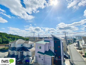 ���̑��@�o���R�j�[����̒��]�B