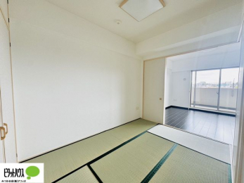 ̑ρ@áAqlƗV񂾂AƎAQȂǎglXł