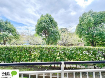 ���ց@�o���R�j�[����̒��]�B