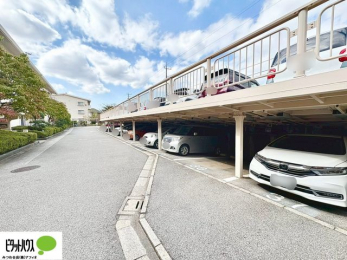 ���̑��@�J�[�X�y�[�X