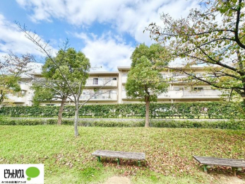 ���̑��@�V����������̊O��