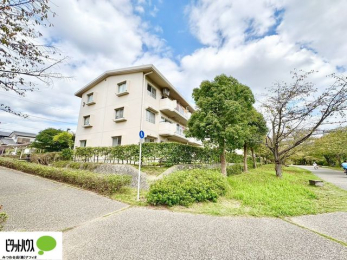 ���̑��@�����w�͂��C�y�ɂ��⍇�����������܂��B