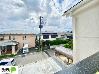 ���̑��@�o���R�j�[����̒��]�B