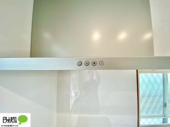 ̑@ptȃWt[hBȒPłLCȋCB