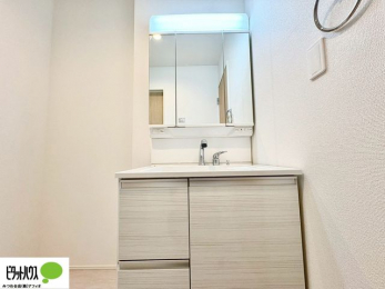 ʑEʏ@傫ȋŌ₷ʉϑ