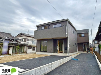 �O�ώʐ^�@���n�����ʐ^�F2025�N11��27��