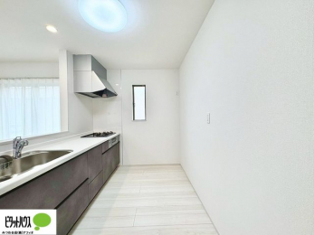 Lb`@lC̃JE^[Lb`́ArOɂ邲Ƒ̗lqf܂