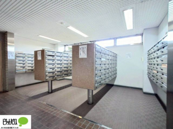 ̑@X֎󂯂łB