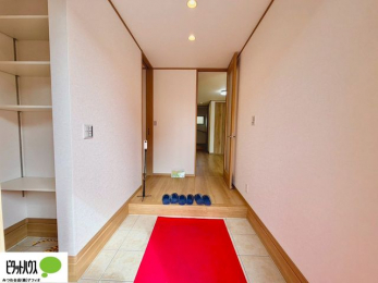 �@���[�����Ղ�ł������ꂢ�Ȍ��ւ��B