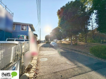 �O�ώʐ^�@���n�����ʐ^�@12��11��