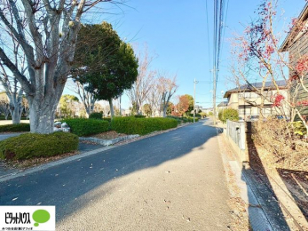 ���̑��@���n�����ʐ^�@12��11��