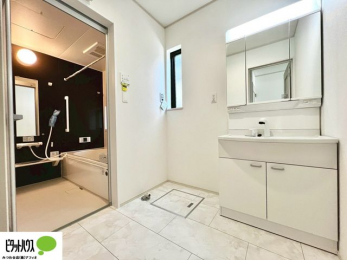 ���ʑ�E���ʏ��@�{�H��ʐ^�@�O�ʋ��̗���A�V���N���ȂǑ������[��������A�L�X�Ƃ������ʉ��ϑ�ł��B