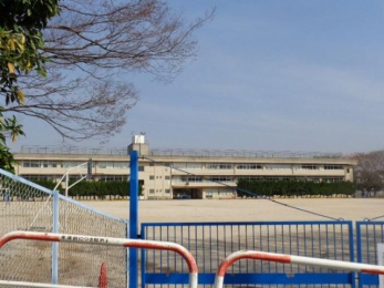 ӊ@ˎsL̉ԏwZ k8B 617m