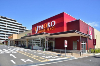 ӊ@IR[ЌlX k17B 1330m