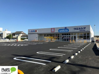 ӊ@EGVAs܏X k6B 442m