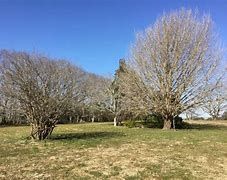 ���ӊ��@���̖ؗΒn �k��6���B 480m