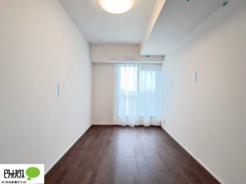 ���̑����ρ@�傫�ȑ����疾�邢�z�˂�������܂��B