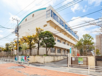 ӊ@DsC_쏬wZ k4B 260m