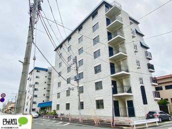 Oώʐ^@w͂Cyɂ₢킹B