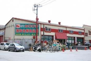 ӊ@X[p[`F[JO`NHi k3B 220m