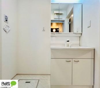 ʑEʏ@{Hʐ^F傫ȋŌ₷ʉϑł