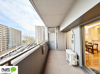 �o���R�j�[�@�z�c�₽������̐��󕨂������郏�C�h�o���R�j�[