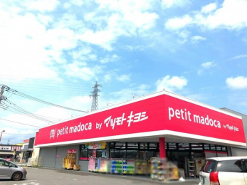 ���ӊ��@�}�c���g�L���V/petit madoca �Ό����̓��X �k��9���B 650m