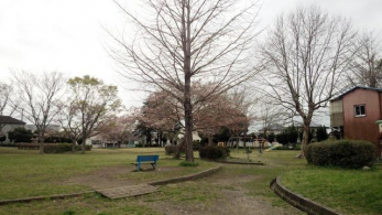 ���ӊ��@���̓����� �k��9���B 710m