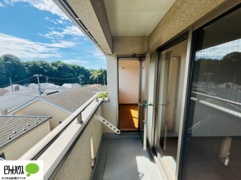 �o���R�j�[�@�z������̗ǂ��L�X�o���R�j�[�B