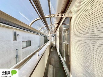 ���̑��@�z�c�₽������̐��󕨂������郏�C�h�o���R�j�[�B�����t���ŋ}�ȉJ�����S�ł��B