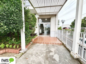 �G���g�����X�@�L�X�Ƃ������ꂢ�ȃG���g�����X