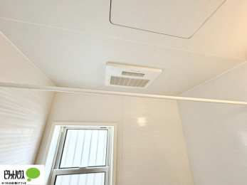 ���̑��@���������@�͎��C��r���J�r�h�~�ɑ劈��B�~�G�̃q�[�g�V���b�N�ɘa�ɂ��B