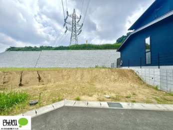 �y�n�ʐ^�@7��8���@���n�����ʐ^