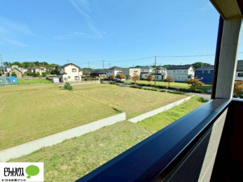 ���̑��@�o���R�j�[����̒��]�B