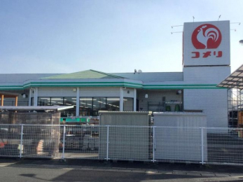 ���ӊ��@�R�����n�[�h���O���[�����X �k��58���B 4630m