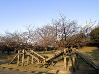 ���ӊ��@����ݖ�͂�݂̂����� �k��3���B 230m