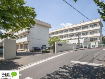 ���ӊ��@�D���s��/�������w�Z �k��16���B 1230m