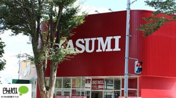 ���ӊ��@�J�X�~�t�[�h�X�N�G�A������X �k��6���B 410m