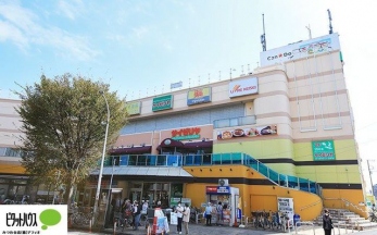 ���ӊ��@�}�c���g�L���V�G�|�J������X �k��9���B 650m