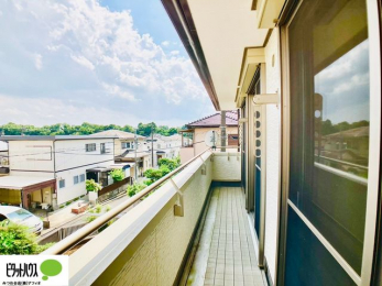 �o���R�j�[�@�z������̗ǂ��L�X�o���R�j�[�B