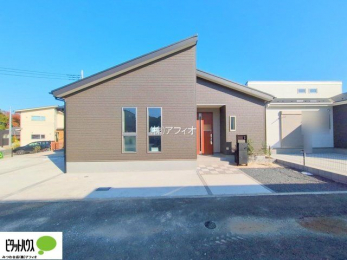 �O�ώʐ^�@���n�����ʐ^�F2025�N11��7��