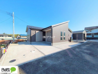 �O�ώʐ^�@���n�����ʐ^�F2025�N11��7��