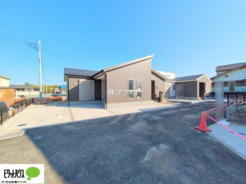 �@���n�����ʐ^�F2025�N11��7��