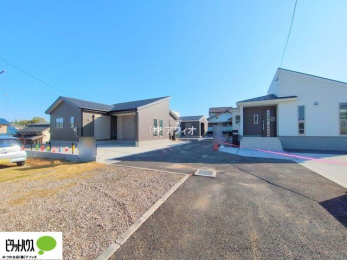 �O�ώʐ^�@���n�����ʐ^�F2025�N11��7��