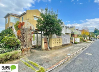 �O�ώʐ^�@���w�\���t��