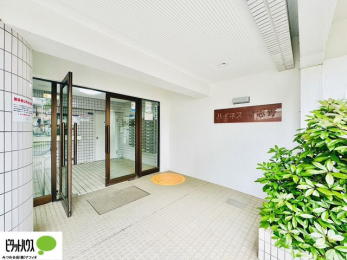 �G���g�����X�@�L�X�Ƃ������ꂢ�ȃG���g�����X